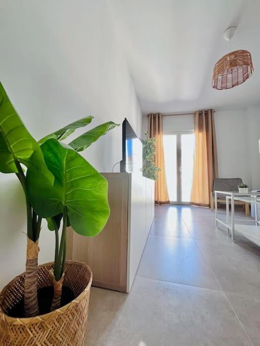 Lovely Apartment Close By City Center Malaga Luaran gambar